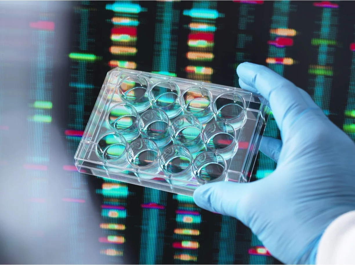 Pharmaceutical regulatory compliance laboratory testing